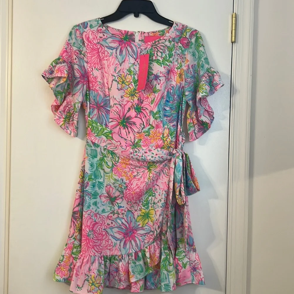 NWT Lilly Pulitzer Darlah Dress - Picture 1 of 5